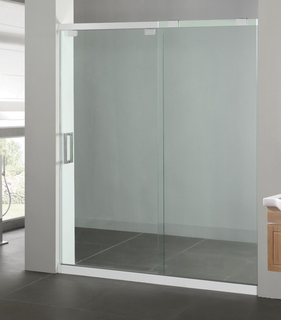 SHOWER DOOR- 5551